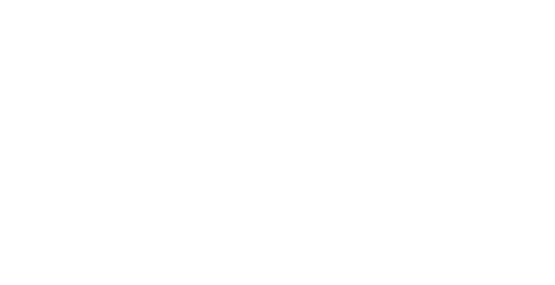 Parceiro 5